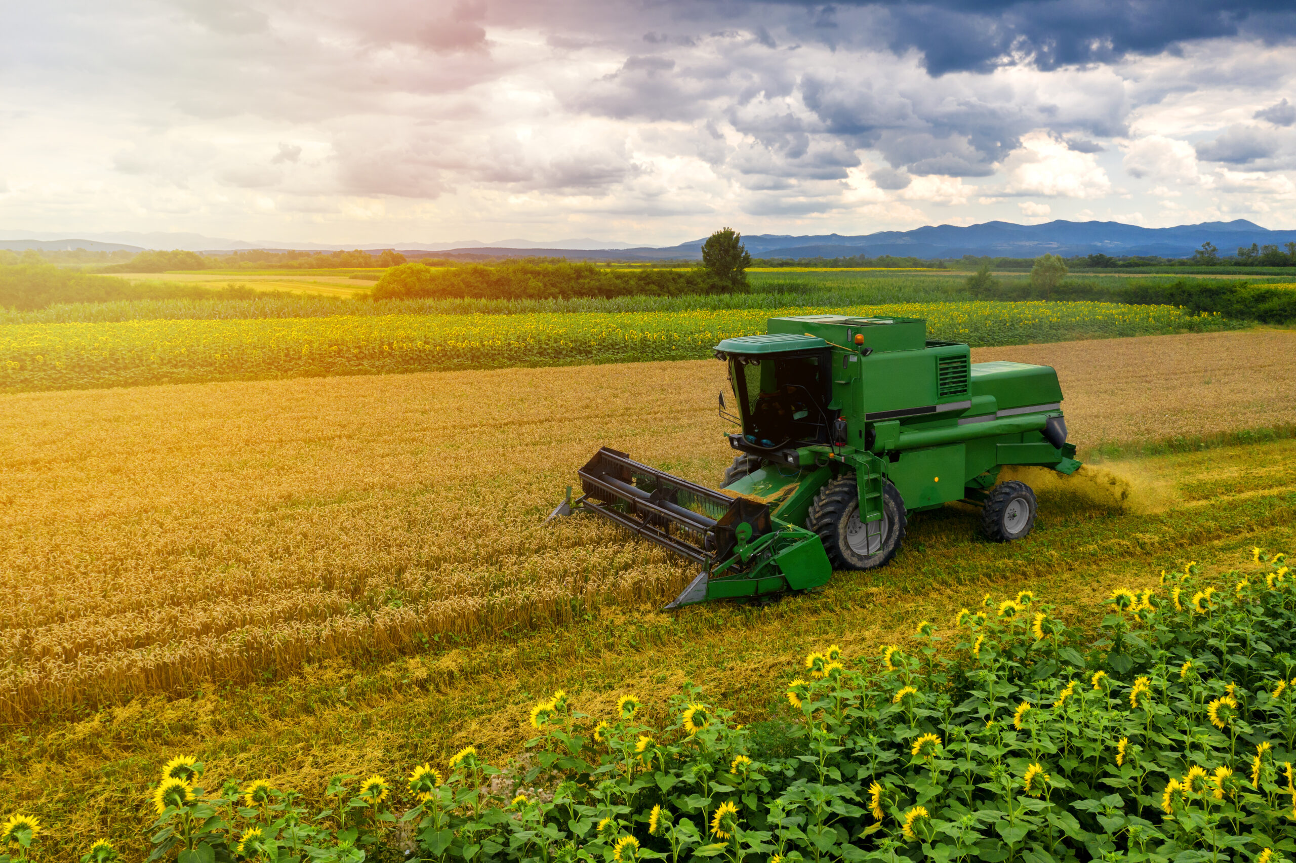 Harvester,Machine,To,Harvest,Wheat,Field,Working.,Combine,Harvester,Agriculture